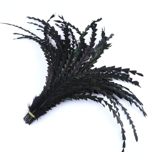 Yalulu Federn zum Basteln, 25 Stück Natural Roosters Federn, Federn Basteln, Feder Deko für DIY Kostüme, Traumfänger, Kopfschmucksfedern, Federball, Schulhandwerk (Schwarz) von Yalulu