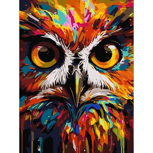 Eule Malen nach Zahlen Kits 30 x 40 cm Leinwand DIY Digitales Ölgemälde für Erwachsene mit Pinseln und Acryl-Pigment – Tiere handbemalt für Heimdekoration, Geschenk (ohne Rahmen) von YanJin