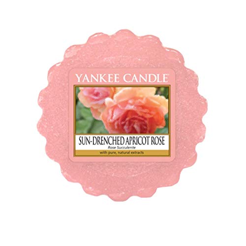 YANKEE CANDLE Housewarmer Wax Melt - Sun-Drenched APRICOT Rose | 22 g von Yankee Candle