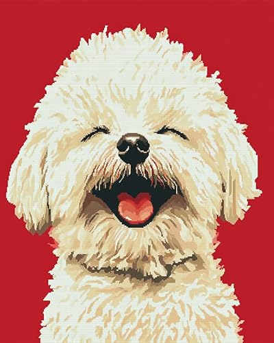 YarnAdventures DIY Malen nach Zahlen für Erwachsene Kinder,Tierhund,süßer Bichon Frise,Malen nach Zahlen Kits auf Leinwand mit Pinseln für Home Wall Decor,16x20in ohne Rahmen von YarnAdventures