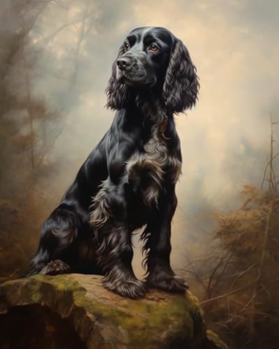 YarnAdventures Malen nach Zahlen,Tiere Hund Charles Spaniel,DIY handgemalte Kits,Kunstwerk für Heimdekoration,Geschenk für Erwachsene,Anfänger,Kinder,40x50cm ohne Rahmen von YarnAdventures