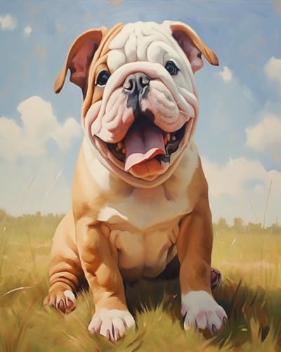 YarnAdventures Tier Haustier Hund Malen nach Zahlen Kits auf Leinwand,englische Bulldogge,Malen Nach Zahlen mit Pinseln und Acrylfarben Handgemalt Ölgemälde Kits für Home Decor,40x50cm von YarnAdventures