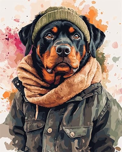 YarnAdventures Tier Hund DIY Malen nach Zahlen,Rottweiler trägt Kleidung,Malen nach Zahlen für Erwachsene und Kinder,nach Zahlen Kits auf Leinwand Kunsthandwerk,16x20in ohne Rahmen von YarnAdventures