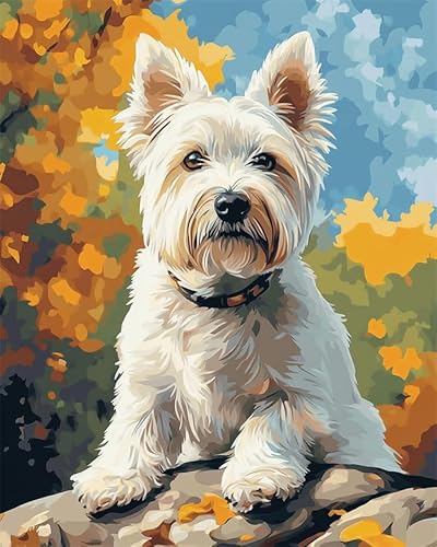 YarnAdventures Tier Hund DIY Malen nach Zahlen,West Highland White Terrier,Malen nach Zahlen für Erwachsene und Kinder,nach Zahlen Kits auf Leinwand Kunsthandwerk,16x20in ohne Rahmen von YarnAdventures