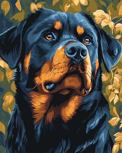 YarnAdventures Tier Hund DIY Malen nach Zahlen für Erwachsene Kinder,Rottweiler,Malen nach Zahlen Kits auf Leinwand mit Pinseln für Home Wall Decor,16x20in ohne Rahmen von YarnAdventures