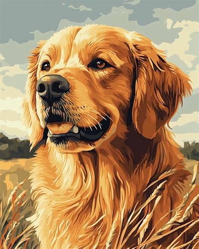 YarnAdventures Tier Hund Malen Nach Zahlen Anfänger,Golden Retriever,Malen Nach Zahlen DIY Handgemalt Ölgemälde Leinwand Kits zur Heimdekoration,16x20in ohne Rahmen von YarnAdventures