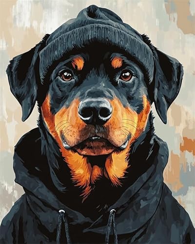 YarnAdventures Tier Hund Malen Nach Zahlen Anfänger,Rottweiler trägt Kleidung,Malen Nach Zahlen DIY Handgemalt Ölgemälde Leinwand Kits zur Heimdekoration,16x20in ohne Rahmen von YarnAdventures