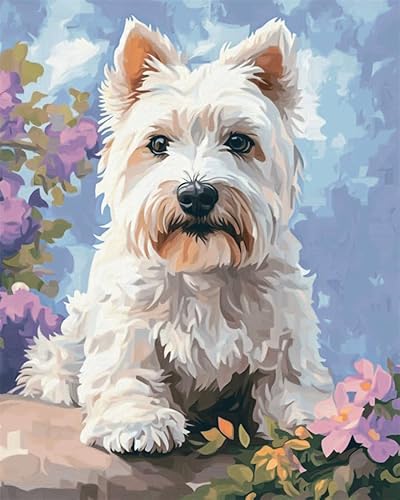 YarnAdventures Tier Hund Malen Nach Zahlen Erwachsene,West Highland White Terrier,Paint by Numbers DIY Acrylpigment ölgemäLde Kit für Art Home Decor,40x50cm Ohne Rahmen von YarnAdventures