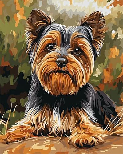 YarnAdventures Tier Hund Malen Nach Zahlen Kits für Erwachsene,Yorkshire Terrier,DIY Handgemalt Ölgemälde Set mit 3 Pinseln und Acrylfarbe zur Heimdekoration,16x20in ohne Rahmen von YarnAdventures