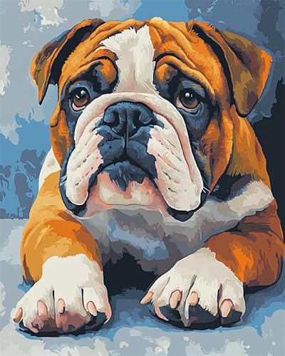 YarnAdventures Tier Hund Malen nach Zahlen Kits auf Leinwand,Englische Bulldogge,Malen Nach Zahlen mit Pinseln und Acrylfarben Handgemalt Ölgemälde Kits für Home Decor,40x50cm ohne Rahmen von YarnAdventures