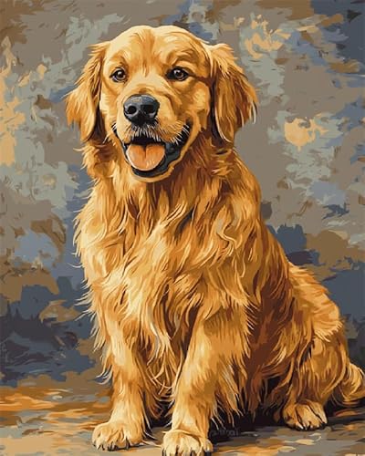 YarnAdventures Tier Hund Malen nach Zahlen Kits auf Leinwand,Golden Retriever,Malen Nach Zahlen mit Pinseln und Acrylfarben Handgemalt Ölgemälde Kits für Home Decor,40x50cm ohne Rahmen von YarnAdventures