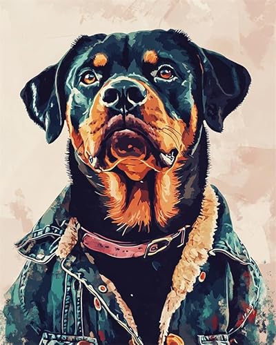 YarnAdventures Tier Hund Malen nach Zahlen Kits auf Leinwand,Rottweiler trägt Kleidung,Malen Nach Zahlen mit Pinseln und Acrylfarben Handgemalt Ölgemälde Kits für Home Decor,40x50cm ohne Rahmen von YarnAdventures