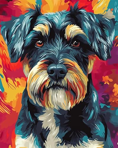 YarnAdventures Tier Hund Paint by Numbers for Beginner,Schnauzer,Oil Painting by Numbers Kits,Paint Kits Canvas Gifts Arts Crafts for Home Decor,40x50cm ohne Rahmen von YarnAdventures