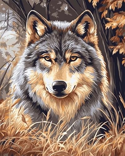 YarnAdventures Tier Malen Nach Zahlen Für Erwachsene Anfänger,Wolf,Malen Nach Zahlen Kits DIY Acrylmalerei Für Erwachsene Kinde Kunsthandwerk,40x50cm ohne Rahmen von YarnAdventures