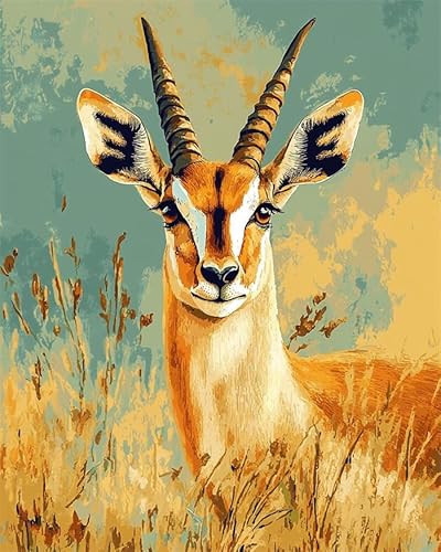 YarnAdventures Tier Paint by Numbers for Beginner,Antilope,Oil Painting by Numbers Kits,Paint Kits Canvas Gifts Arts Crafts for Home Decor,40x50cm ohne Rahmen von YarnAdventures