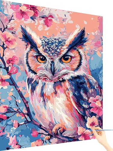Malen Nach Zahlen Erwachsene Eule Paint by Numbers Blume, Malen Nach Zahlen ab 7 Jahre Mädchen, Handgemalt Ölgemälde Leinwand mit Pinseln und Acrylfarben Geschenke für Frauen Ohne Rahmen 70x90cm B-70 Malen Nach Zahlen Erwachsene Eule Paint by Numbers Blume, Malen Nach Zahlen ab 7 Jahre Mädchen, Handgemalt Ölgemälde Leinwand mit Pinseln und Acrylfarben Geschenke für Frauen Ohne Rahmen 70x90cm B-70 von Yarqzhng