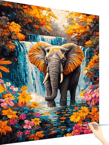 Malen Nach Zahlen Erwachsene Fallen Paint by Numbers Elefant, Malen Nach Zahlen ab 7 Jahre Mädchen, Handgemalt Ölgemälde Leinwand mit Pinseln Acrylfarben Geschenke für Frauen Ohne Rahmen 60x80cm T-77 Malen Nach Zahlen Erwachsene Fallen Paint by Numbers Elefant, Malen Nach Zahlen ab 7 Jahre Mädchen, Handgemalt Ölgemälde Leinwand mit Pinseln Acrylfarben Geschenke für Frauen Ohne Rahmen 60x80cm T-77 von Yarqzhng