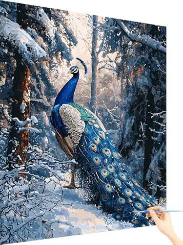 Malen Nach Zahlen Erwachsene Pfau Paint by Numbers Schnee, Malen Nach Zahlen ab 7 Jahre Mädchen, Handgemalt Ölgemälde Leinwand mit Pinseln und Acrylfarben Geschenke für Frauen Ohne Rahmen 60x80cm X-19 Malen Nach Zahlen Erwachsene Pfau Paint by Numbers Schnee, Malen Nach Zahlen ab 7 Jahre Mädchen, Handgemalt Ölgemälde Leinwand mit Pinseln und Acrylfarben Geschenke für Frauen Ohne Rahmen 60x80cm X-19 von Yarqzhng