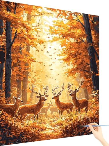 Malen Nach Zahlen Erwachsene Reh Paint by Numbers Wald, Malen Nach Zahlen ab 7 Jahre Mädchen, Handgemalt Ölgemälde Leinwand mit Pinseln Acrylfarben Geschenke für Frauen Deko Ohne Rahmen 70x90cm D-10 Malen Nach Zahlen Erwachsene Reh Paint by Numbers Wald, Malen Nach Zahlen ab 7 Jahre Mädchen, Handgemalt Ölgemälde Leinwand mit Pinseln Acrylfarben Geschenke für Frauen Deko Ohne Rahmen 70x90cm D-10 von Yarqzhng