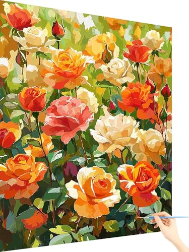 Malen Nach Zahlen Erwachsene Rose Paint by Numbers Blume, Malen Nach Zahlen ab 7 Jahre Mädchen, Handgemalt Ölgemälde Leinwand mit Pinseln und Acrylfarben Geschenke für Frauen Ohne Rahmen 60x80cm N-64 Malen Nach Zahlen Erwachsene Rose Paint by Numbers Blume, Malen Nach Zahlen ab 7 Jahre Mädchen, Handgemalt Ölgemälde Leinwand mit Pinseln und Acrylfarben Geschenke für Frauen Ohne Rahmen 60x80cm N-64 von Yarqzhng