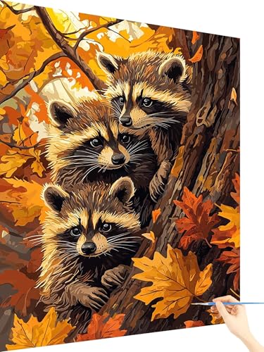 Malen Nach Zahlen Erwachsene Tier Paint by Numbers WaschbäR, Malen Nach Zahlen ab 7 Jahre Mädchen, Handgemalt Ölgemälde Leinwand mit Pinseln Acrylfarben Geschenke für Frauen Ohne Rahmen 60x80cm C-99 Malen Nach Zahlen Erwachsene Tier Paint by Numbers WaschbäR, Malen Nach Zahlen ab 7 Jahre Mädchen, Handgemalt Ölgemälde Leinwand mit Pinseln Acrylfarben Geschenke für Frauen Ohne Rahmen 60x80cm C-99 von Yarqzhng