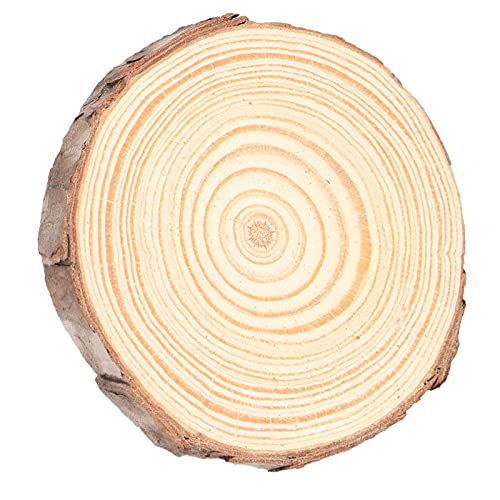 Pine Wood ES für -FTS, Runde Baumstämme für Ting und Festliche Dekorationen (Nummer 2 6~7cm) von Yctze