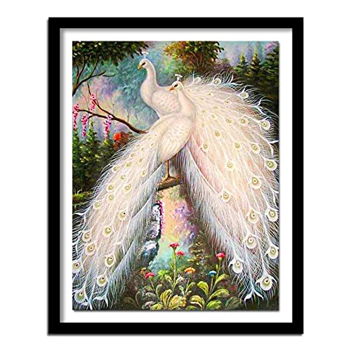 5D Diamond Painting Set,Schöner weißer Pfau Diamant Painting Bilder Kit DIY Erwachsene Stickerei Kreuzstich Voll Strass Kristall Diamant Kunst Handwerk für Home Wand-Decor Square Drill,60x80cm von Yeecer