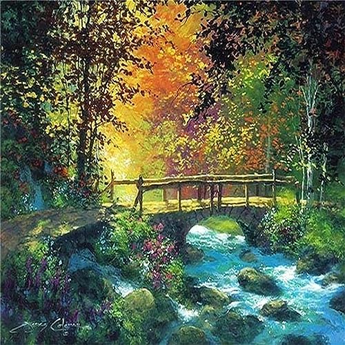 5D Diamond Painting Set Wald Brücke Fluss,Diamant Painting Bilder Kit DIY Malen nach Zahlen Erwachsene Stickerei Kreuzstich Voll Strass Kristall Diamant Kunst Handwerk für Home Wand-Decor 30x30cm von Yeecer