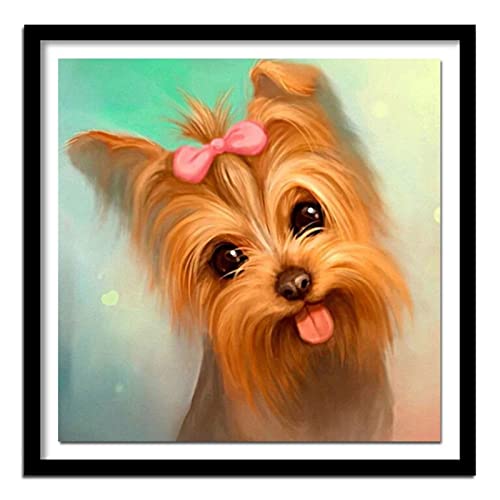 DIY Diamond Painting Yorkshire Terrier Hund 5D Adult Kinder Diamant Painting Bilder Kits,Full Drill Strass Stickerei Kreuzstich Mosaik Diamant Malerei für Home Wall Decor Square drill,50x50cm von Yeecer