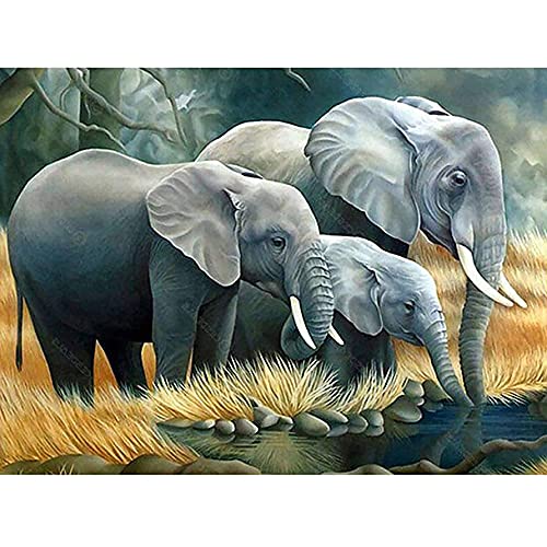 Yeerum DIY 5D Diamond Painting Elefant, 5D Diamant Painting Tier Full Malen Nach Zahlen Erwachsene Stickerei Strass Kreuzstich Kunst Deko 30x40 cm von Yeerum