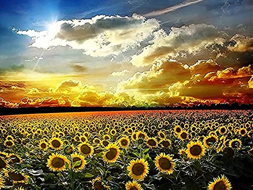 Yeerum DIY 5D Diamond Painting Sonnenblume, 5D Diamant Painting Pflanze, Anlage Full Malen Nach Zahlen Stickerei Strass Kreuzstich 40x50 cm von Yeerum