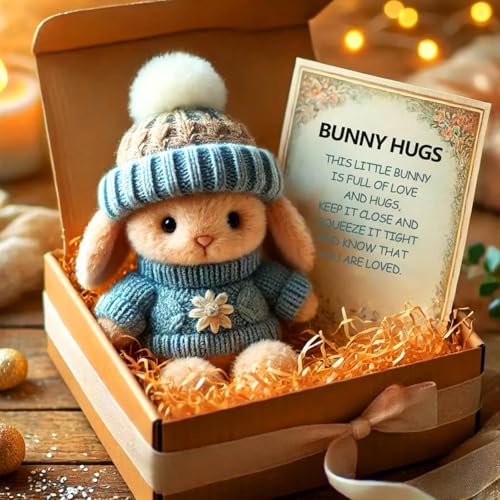 Mini Bunny Hug Cute Easter Gift, Easter Bunny Stuffed Animal, Cute Bunny Plush, Emotional Support Plush with Box and Sweet Card, Send A Friend Stuffed Animals Gift Box (Blue) von Yeluptu