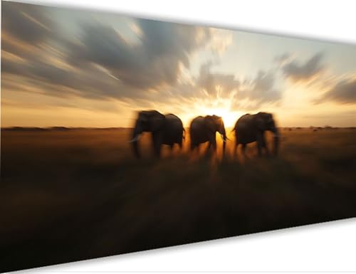 Malen Nach Zahlen Elefant,Tier Malen Nach Zahlen Erwachsene mit Rahmen 30x60cm, Paint by Numbers ab 5-10 Jahre Mädchen Geschenke, DIY Ölgemälde Set mit Pinseln Acryl Leinwan, Wanddeko Wohnzimme LE-490 Malen Nach Zahlen Elefant,Tier Malen Nach Zahlen Erwachsene mit Rahmen 30x60cm, Paint by Numbers ab 5-10 Jahre Mädchen Geschenke, DIY Ölgemälde Set mit Pinseln Acryl Leinwan, Wanddeko Wohnzimme LE-490 von Yeogcohe