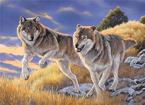 Diamond Painting Bilder Tier Wolf, 5D Weihnachten Diamant Painting Erwachsene Set, Full Drill Diamond Art Cross Stickerei Set, für Halloween Wohnzimmer Home Wand Décor Diamant Malerei 40x50cm HS-652 von Yhfunfo