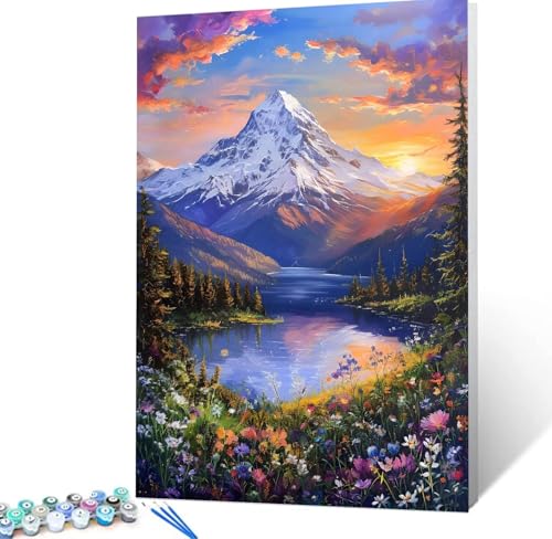 Malen Nach Zahlen Blume Malen Nach Zahlen Erwachsene Schneeberg Bastelset Erwachsene Frauen, DIY GemäLde Set Erwachsene mit Pinsel und Acrylfarbe Als Zimmer Deko, Geschenke für Männer 30x40cm H5-35 von Yhoonn