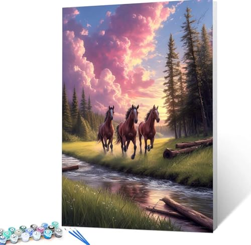 Malen Nach Zahlen Pferd Malen Nach Zahlen Erwachsene See Bastelset Erwachsene Frauen, DIY GemäLde Set Erwachsene mit Pinsel und Acrylfarbe Zimmer Deko Aesthetic, Geschenke für Männer 30x40cm H5-122 von Yhoonn