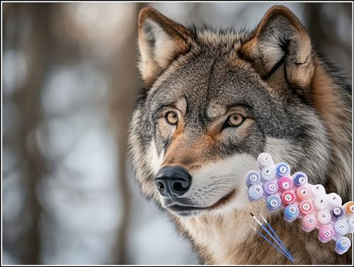 Malen Nach Zahlen Wolf Malen Nach Zahlen Erwachsene Modern Bastelset Erwachsene Frauen, DIY GemäLde Set Erwachsene mit Pinsel und Acrylfarbe Zimmer Deko Wohnzimmer, Geschenke für Männer 30x40cm H5-848 von Yhoonn