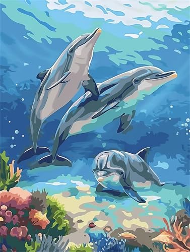 Malen Nach Zahlen Erwachsene Delfin DIY Handgemalt Ölgemälde für Kinder und Anfänger Tier Malen Nach Zahlen leinwand Bastelset Mit 3-Pinseln und Acrylfarbe (Rahmenlos) Als Geschenk 25x30cm H-259 von Yihoote
