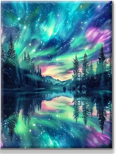 Yiminu.DS Diamond Painting Erwachsene, Diamant Painting Bilder 30x40cm 5D Diamond-Painting Diamant Painting Bastelset BastelnWanddeko, Landschaft Aurora Fluss von Yiminu.DS