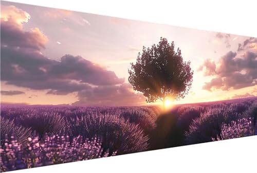 Diamond Painting Lavendel, 5D Diamant Painting Bilder Kinder, Diamond Painting Erwachsene Sonnenuntergang, Diamond Painting Bastelset Erwachsene Frauen Anfänger Paintings, Geschenke 30x60cm YG-254 von Yingeen