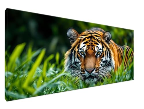 Tiger Malen Nach Zahlen Groß XXL 40x80cm Malen Nach Zahlen Erwachsene Tier, Paint by Numbers DIY Kreativ Set auf Leinwand für Anfänger, Decor, Weihnachten Paar Freund Personalisierte Geschenke Y2-309 von Yingeen