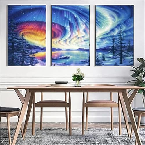 5D Diy Diamond Art Painting Kit 3 Stück Diamant Malerei Bilder Eis- Und Schnee-Aurora Vollbohrer Stickerei Mosaik Malerei Kreuzstich Handwerk Leinwand für Wand Dekorationen Quadrat 80x120 cm D2787 von Yizgrz