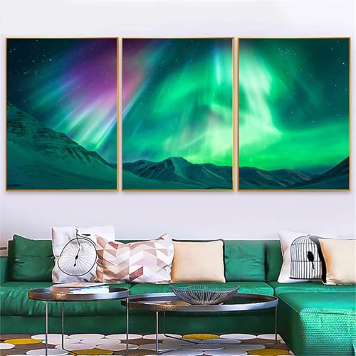 5D Diy Diamond Art Painting Kit 3 Stück Diamant Malerei Groß Bilder Nordlicht Vollbohrer Stickerei Mosaik Malerei Strass Kreuzstich Kunst Handwerk Leinwand für Wand Dekorationen Quadrat 20x30 cm D2730 von Yizgrz