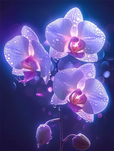 5D Diy Diamond Painting Erwachsene Kits Orchidee Diamant Malerei Groß Bilder Full Drill Strass Cross Stickerei Sets Mosaikherstellung Kinder Malen Nach Zahlen für Home Wall Decor Round 25x30cm D4815 von Yizgrz