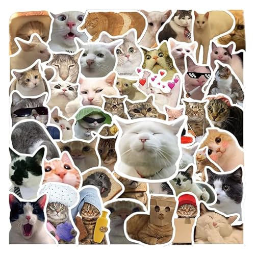 50pcs Lustige Katzen Sticker, Cat Katze Wasserfeste Vinyl Aufkleber, Süße Katzen Aufkleber, Cartoon Aufkleber für Kinder,für Auto Motorräder Fahrrad Skateboard Snowboard Gepäck,Cute Cartoon Aufkleber von Yoimckay