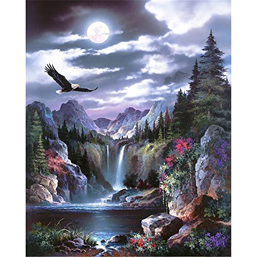 Diamond Painting Full, Landschaft Wasserfall 5D Diamant Painting Bilder, DIY Erwachsene/Kinder Malen nach Zahlen Crystal Strass Stickerei Kreuzstich Gemälde Art Home Wall Décor Round Drill 80x100cm von Yoonqun