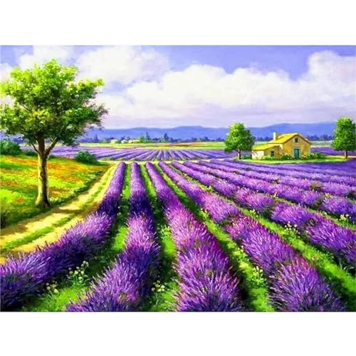 Yoonqun Malen Nach Zahlen Erwachsene,Lavendel Blumen DIY Ölgemälde auf Leinwand Erwachsene Kinder Ölgemälde Kit mit Pinseln und Acrylfarbe für Home Décor (mit Rahmen) 60x75cm von Yoonqun