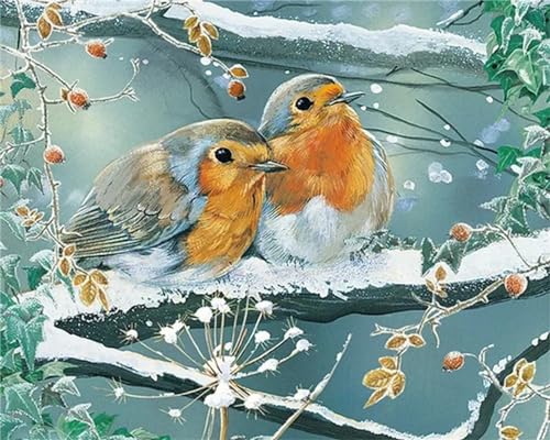 Yoonqun Malen Nach Zahlen Erwachsene,Wintervogel DIY Ölgemälde auf Leinwand Erwachsene Kinder Ölgemälde Kit mit Pinseln und Acrylfarbe für Home Décor (ohne Rahmen) 40x50cm von Yoonqun