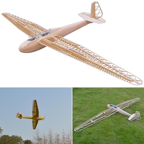 DFS Kranich Modellflugzeug Kit, Maßstab 1:6, 3000 mm Spannweite, Lasercut Holz Bauteile, SD7032 Profil, 1142 mm Rumpflänge, 2300 g RTF, RC Gleiter Modell Holzbausatz, Modellflugzeug zum selber Bauen von Your Day Mate