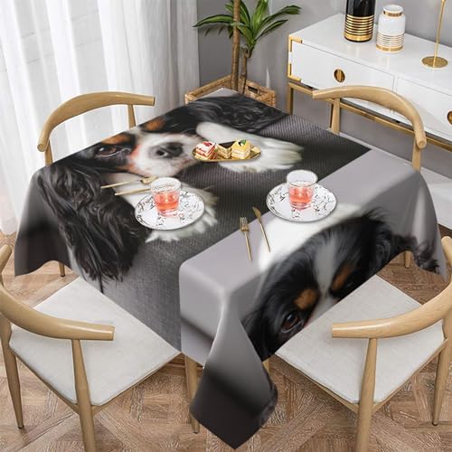 Tischdecken, 137 cm, waschbare Tischdecke, Tischdecken für Küche, Esszimmer, Party,Cavalier King Charles Spaniel Hund von YsoLda